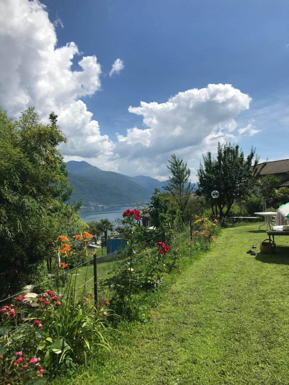 Bed And Breakfast Studios Alto Lago Di Como Gravedona Exteriör bild